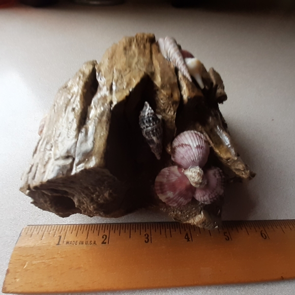 Driftwood and Shell Ornament - Picture 3 of 3